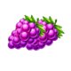 fruit lightning 3x5 grape symbol