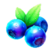 fruit loot stacks bluberries symbol