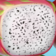 fruit shifter fruit symbol