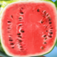 fruit shifter melon symbol