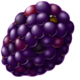 fruit splash blackberry symbol
