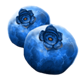 fruit splash blueberries symbol
