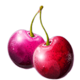fruit splash cherries symbol