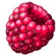 fruit splash raspberry symbol