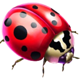 gameart lady luck ladybug symbol