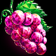 gem fruits grape symbol