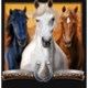 genesis storm rider horse trio symbol