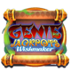 genie jackpots wishmaker game symbol