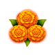 gold of diwali hold and win floawers symbol