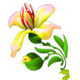 golden gorilla lilly symbol