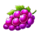 golden joker 100 hold and win grape symbol