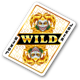 golden joker coins hold and win wild symbol