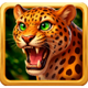 gorilla fortune punch cheetah symbol