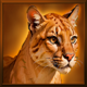 grand buffalo hold and win lion symbol