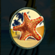 hawaii deluxe starfish symbol