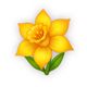 honey royale daffodil symbol