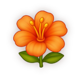 honey royale hibiscus symbol