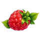 j mania triple jam red raspberry symbol