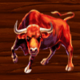 jackaroo jack bull symbol