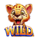 jaguar riches wild symbol