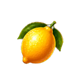 jesters coin tricks lemon symbol