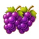 joker royal coins hold and win grape symbol