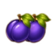 joker royal coins hold and win plum symbol