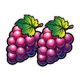 joker vs joker grapes symbol