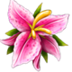 jumping jaguar flower symbol