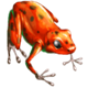 jumping jaguar frog symbol