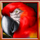jumping jaguar parrot symbol