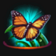 lotus charm butterfly symbol