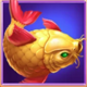 luck of tiger fish symbol