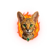 lucky cerol 500 cat symbol