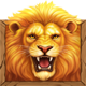 lucky hercules hold and win lion symbol