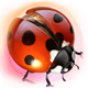 lucky lands ladybug symbol
