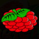 magic fruits 81 berries symbol