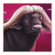 majestic megaways bull symbol