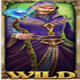 merlins riches wild symbol