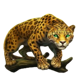 mighty hot amazonia cheetah symbol