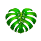 mighty hot amazonia leaf symbol