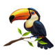 mighty hot amazonia tucano symbol