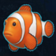 miss ocean fish symbol