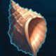 miss ocean shell 1 symbol