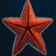 miss ocean star symbol