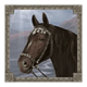 mongol treasures black horse symbol
