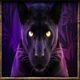 mountain legends 2 panther symbol