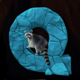 mountain legends q symbol