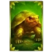 multifly 2 multimax turtle symbol