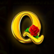 mustang money energized q symbol